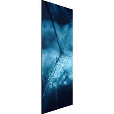 Legni Tableau sur aluminium Pissenlit Bleu Sous La Pluie