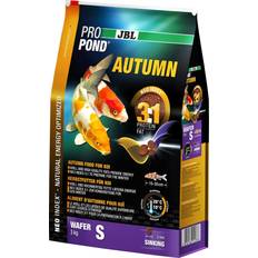 JBL propond autumn 3,0 6 l, neu