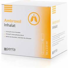 Sundhedsplejeprodukter Penta Arzneimittel Ambroxol Inhalat Inhalationslösung