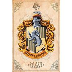 Harry Potter Hufflepuff multicolor Poster