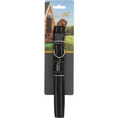 Regatta Premium Dog Collar black