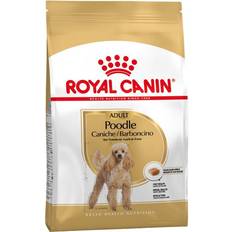 Royal Canin Dogs Pets Royal Canin Poodle Adult 7.5kg