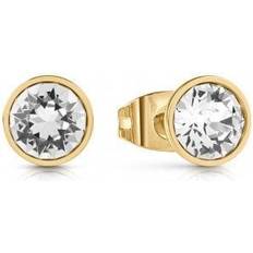 Dame Ørering - JUBE02159JWYGT-U