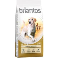 Hond - Hondenvoer - Volwassenen Huisdieren briantos Adult Maxi Hondenvoer 2 x 14 kg