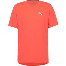 Laufen - Rot T-Shirts Puma Run Cloudspun Funktionsshirt Herren