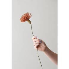 Paper Flower Chrysanthemum dark ochre