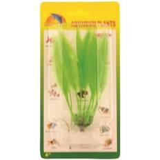 Meadow Amazon sword plant plastic 10