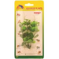 Plast Springvand Meadow Meadow Hygrophila plastic
