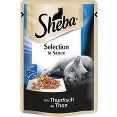 Sheba Cuisine Thunfisch Sauce 85 Gramm
