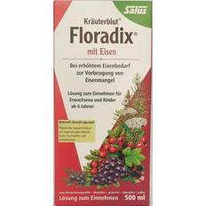 Salus kräuterblut floradix mt eisen 500ml