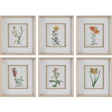 Uttermost Classic Botanicals Set/6 Framed Art