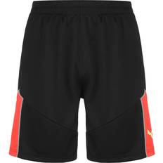 Puma IndividualFINAL Shorts Herren