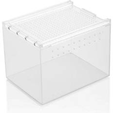 Reptiles Small Terrestrial Terrarium Clear