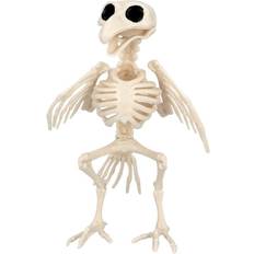 Boland Skelet Ravn