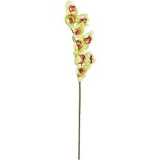 Schnittblumen Europalms Cymbidiumzweig Grün 90cm