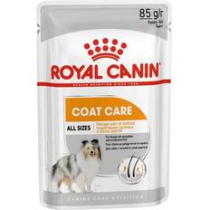 Royal canin wet dog food Royal Canin Coat Care Wet Pouches Adult Dog Food In Loaf