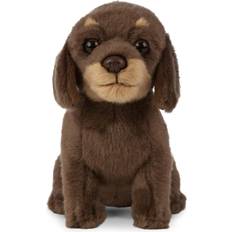 Dachshund Puppy 16cm