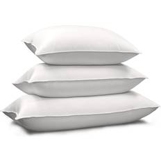 Royal Majesty Siberian Down Pillow (91.4x50.8cm)