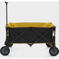 Folding Buggy