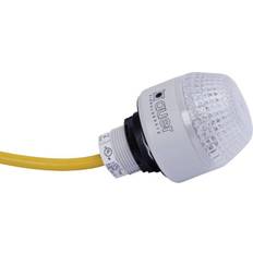 Giallo Dimmer Auer Signalgeräte Segnalatore luminoso LED IMM 801550405 Rosso, Giallo, Verde Luce continua 24 V/DC, 24 V/AC