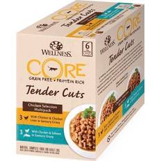 Core wellness Wellness core tender cuts chicken selection multipack wet food