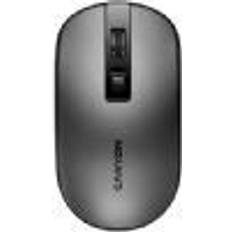CNS-CMSW18DG, Wireless