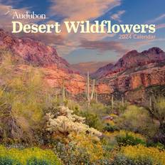 Gula Kalendrar Workman Audubon Desert Wildflowers Wall Calendar 2024