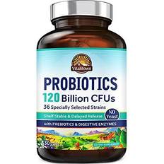 Vitamins & Supplements Vitalitown Probiotics 120 Billion CFUs