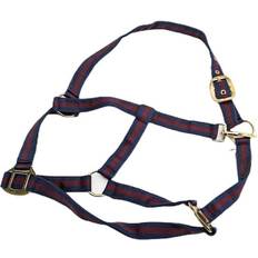 Punainen Asusteet Jacson Striped Halter Blue/Red, Unisex, varusteet, ratsastaja, Hevosurheilut, Sininen/Punainen, X-Full