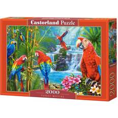 Pussel Castorland Parrot Meeting 2000 Pieces