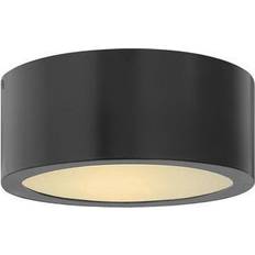 Ceiling Lamps Hinkley Luna Ceiling Flush Light