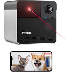 Petcube Pets Petcube Play 2 Camera with Laser & Alexa