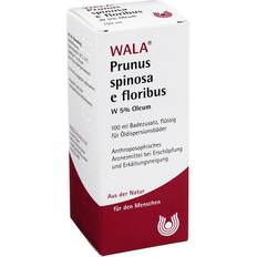 Malerfarbe Dr. Hauschka Prunus Spinosa E floribus W5% Oleum