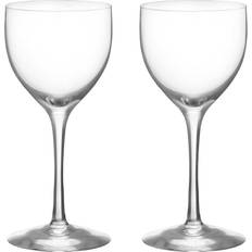 Orrefors Drinking Glasses Orrefors More Nick & Nora Drikkeglas 17cl 2stk