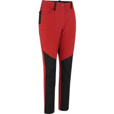 ID Women's Stretch Pants - Burnt Orange