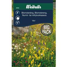 Weibulls Krukker, Planter & Dyrkning Weibulls Blomsteräng Mix Blomsterfrø