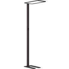 LED-golvlampa Till Kontor Taronis 195 cm Dimbar
