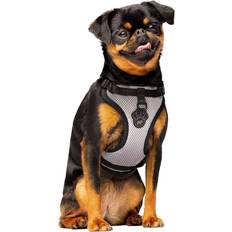 CANADA POOCH Reflective Everything Dog Harness, Small