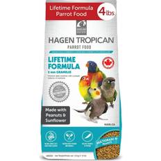 Hagen cockatiel food hari