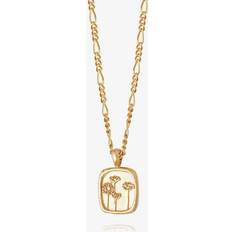 Daisy London Floriography Gold Plated Wild Pendant FN08_GP