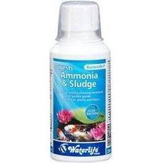 Waterlife P Pond Bacteria Filter Start