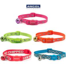 Ancol safety buckle hi vis cat collar