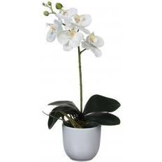 Mica Decorations Phalaenopsis im Künstliche Pflanzen