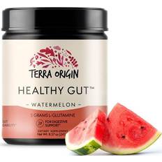 Citroner Maghälsa Terra Origin Healthy Gut Watermelon 30-Servings with