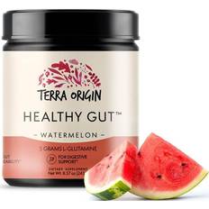 Powder Gut Health Terra Origin Healthy Gut Watermelon 8.57 oz