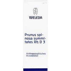 Weleda Prunus Spinosa Summitates Rh D 3 Dilution