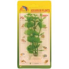 Money leaf plastic