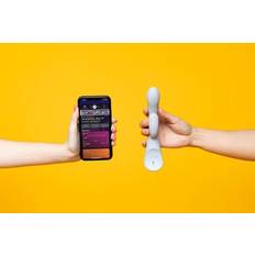 Grau Vibratoren Lioness Der Smart Vibrator 2.0 Grau