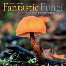 Workman Fantastic Fungi Wall Calendar 2024: Louie