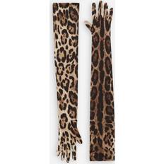 Leopardo Guanti e Mitene Dolce & Gabbana Leo-Print Stretch Satin Gloves